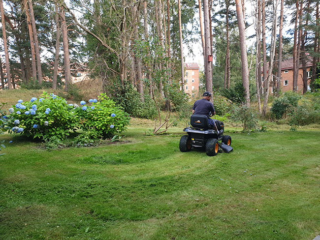 Gräsklippning en fin sommardag
